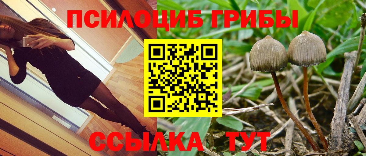 Галлюциногенные грибы Magic Shrooms Новочебоксарск