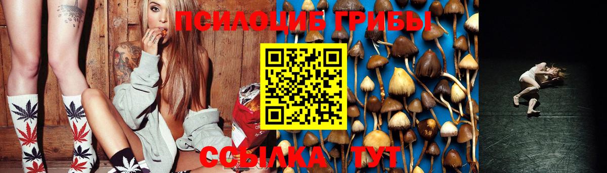Новочебоксарск  Псилоцибиновые грибы Magic Shrooms  где купить наркоту  Вход с VPN 