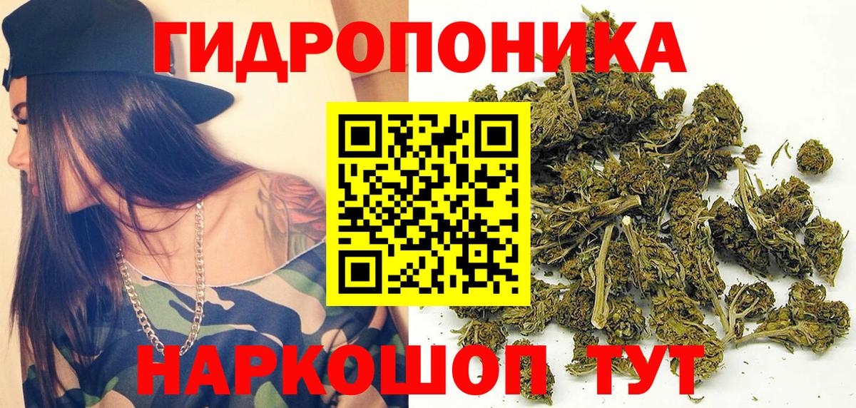 МЕФ Новочебоксарск